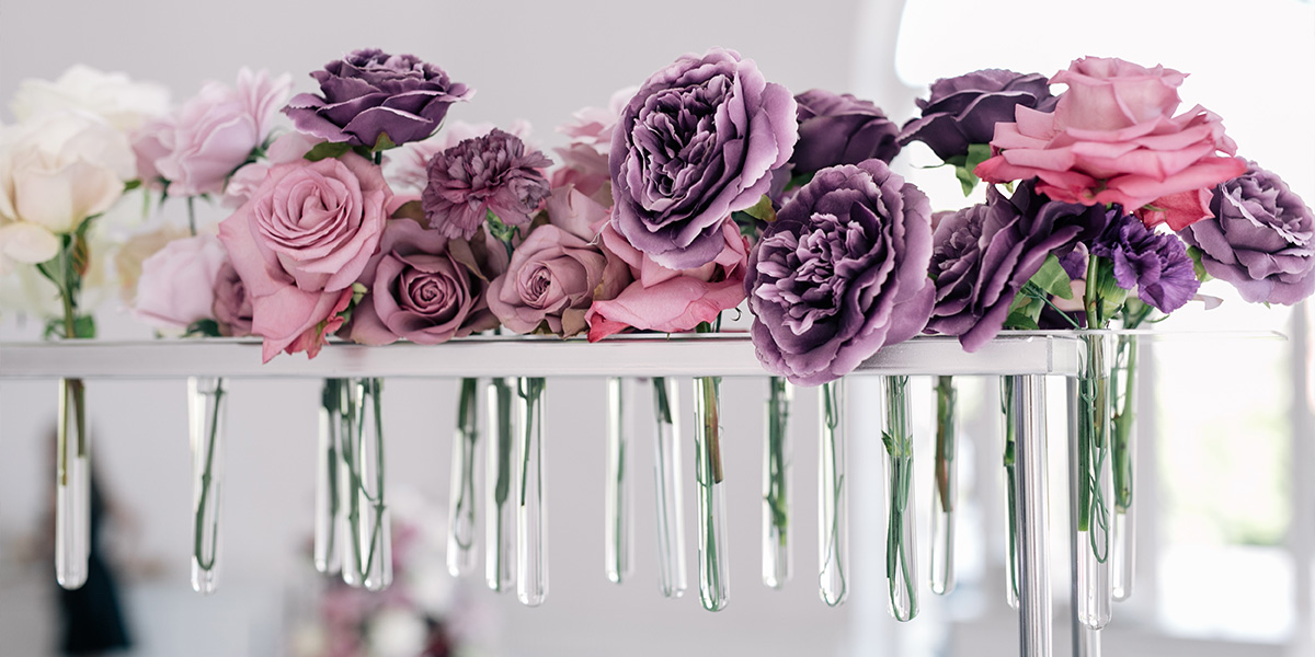 Свадьба Миланы и Евгения