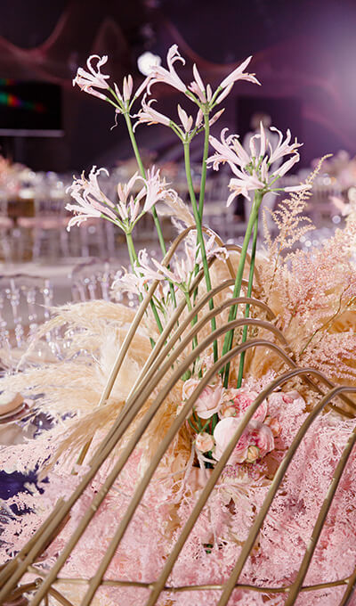 Свадьба Ланы и Даниса