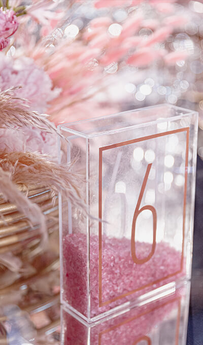 Свадьба Ланы и Даниса