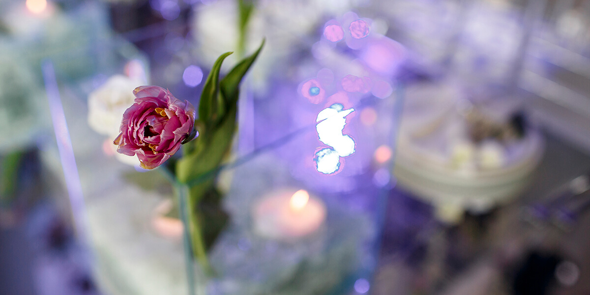 Свадьба Инны и Олега