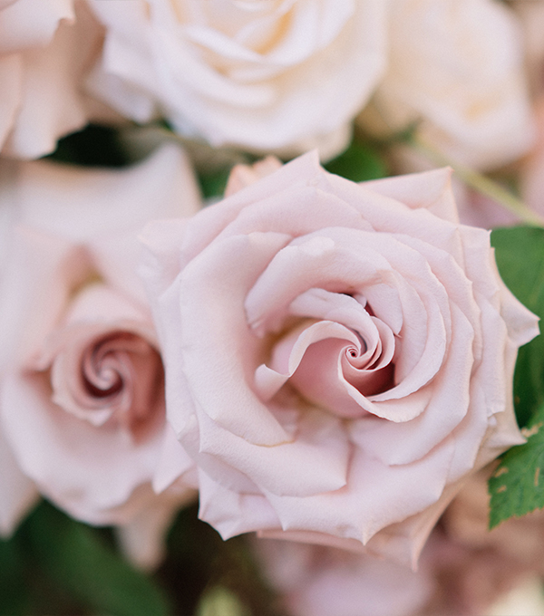 Свадьба Татьяны и Вадима