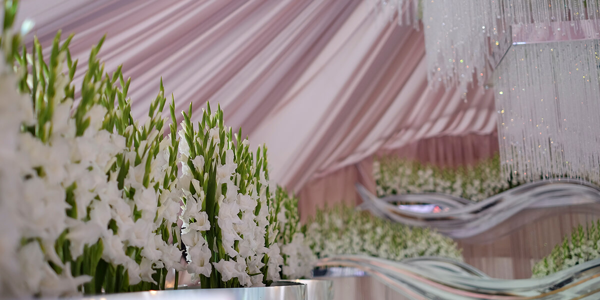 Свадьба Анны и Евгения